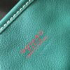 Goyard Black Anjou Mini Bag green Women's Handbag