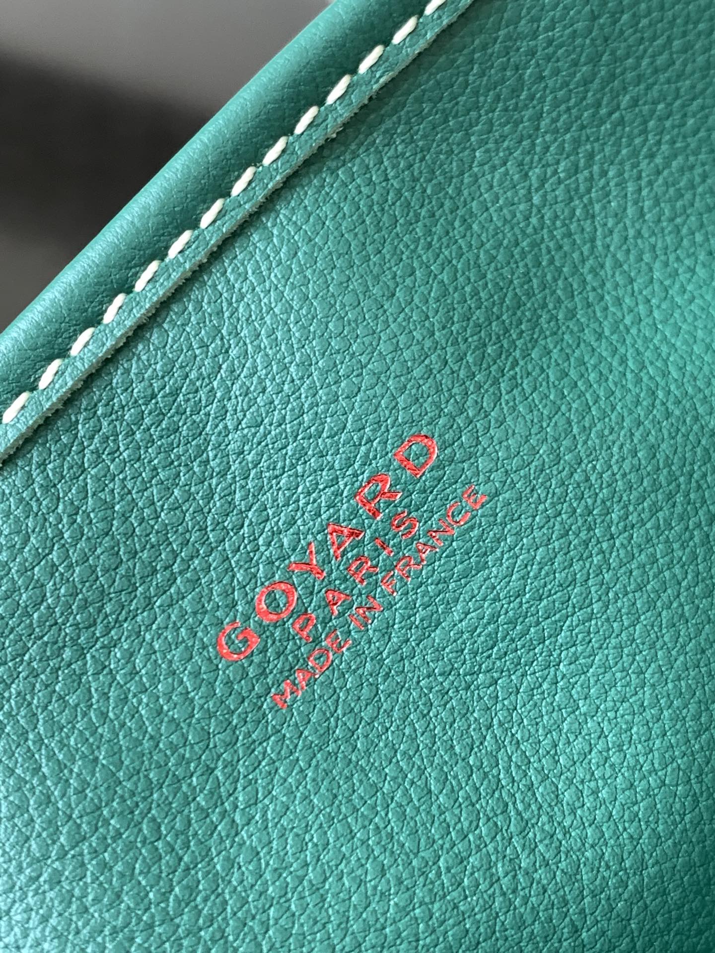 Goyard Black Anjou Mini Bag green Women's Handbag