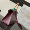 Goyard Burgundy Goyardine "Saigon" PM Top Handle Bag