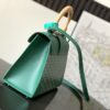 GOYARD Saigon Structure Mini Hand Shoulder Bag PVC green