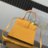 GOYARD Goyardine Saigon PM Yellow