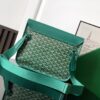 Leather handbag Goyard Green in Leather - 55874319