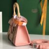Goyard Saigon Structure Nano Bag Pink Goyardine Silver