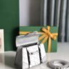 Silver Goyard Sac Saigon Mini Structure