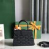 Goyard Saigon Structure Nano Bag Jet Black Goyardine Silver