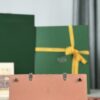 Goyard pink Goyardine Canvas And Chevroches ...