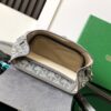 GOYARD Goyardine Calfskin Mini Alpin Backpack gray