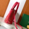 Goyard Goyardine Belharra PM Fuchsia Tote Palladium bag red