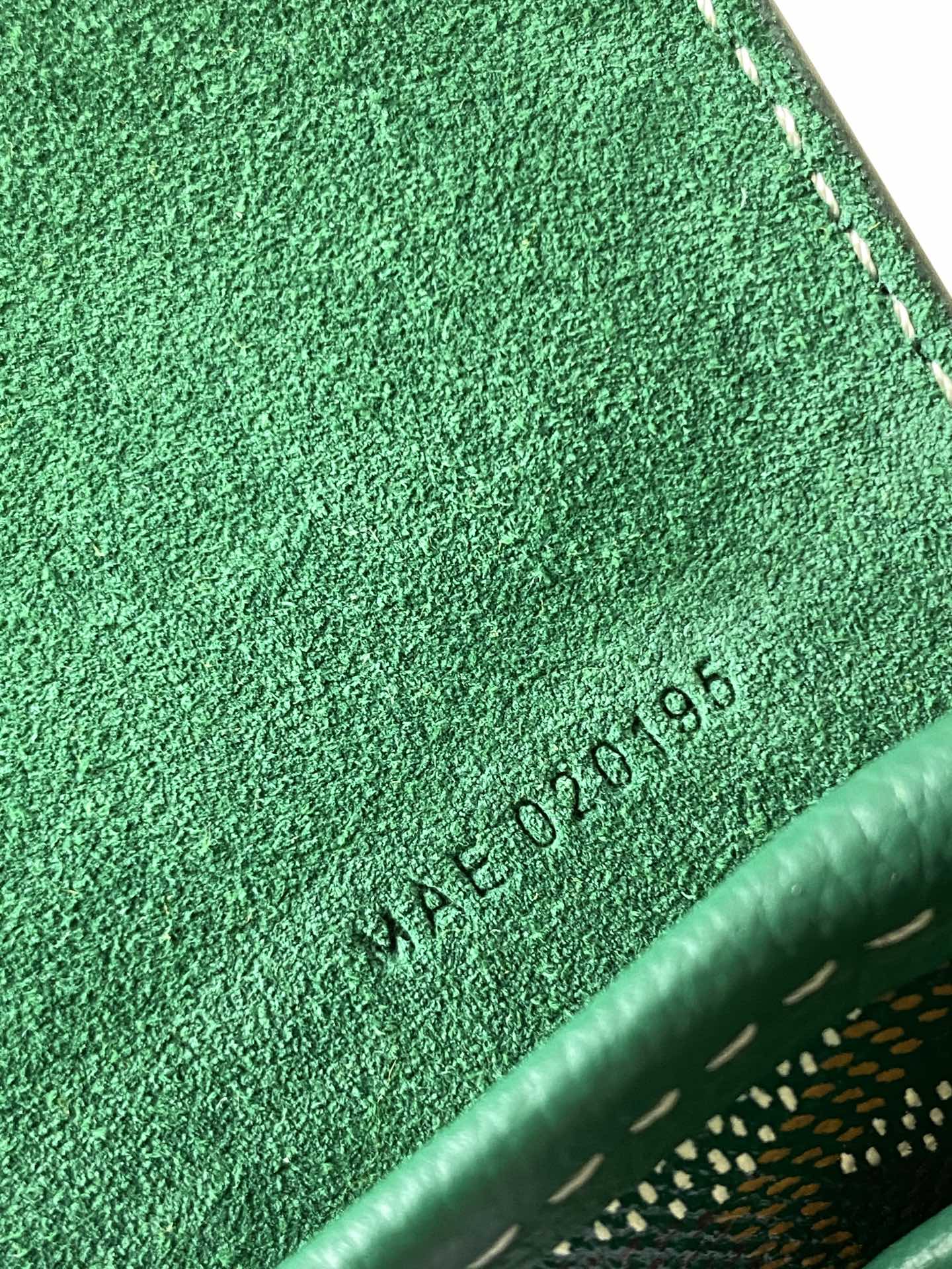 GOYARD Goyardine Calfskin Mini Alpin Backpack green