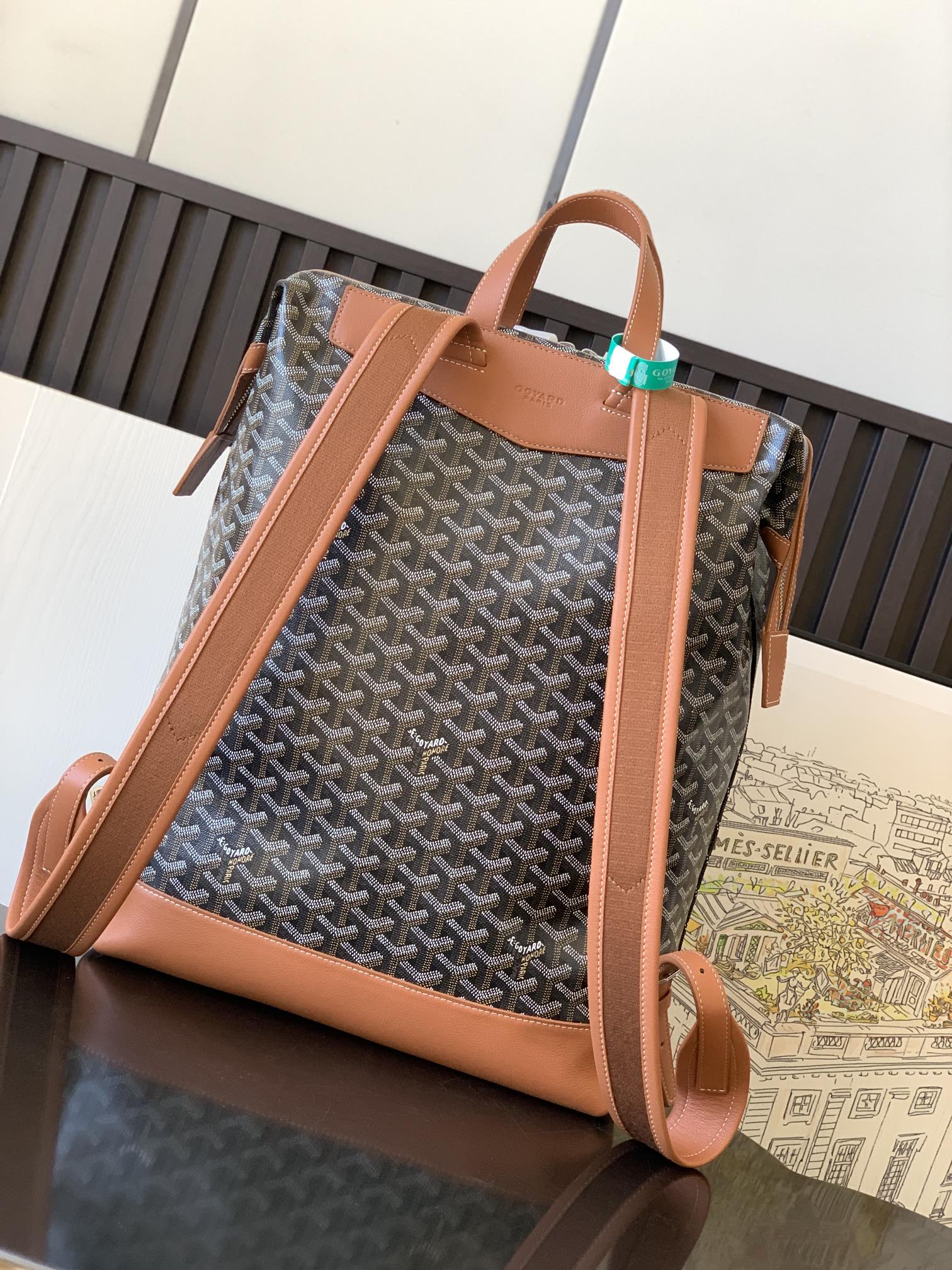 GOYARD Goyardine Calfskin Cisalpin Backpack Black Gold