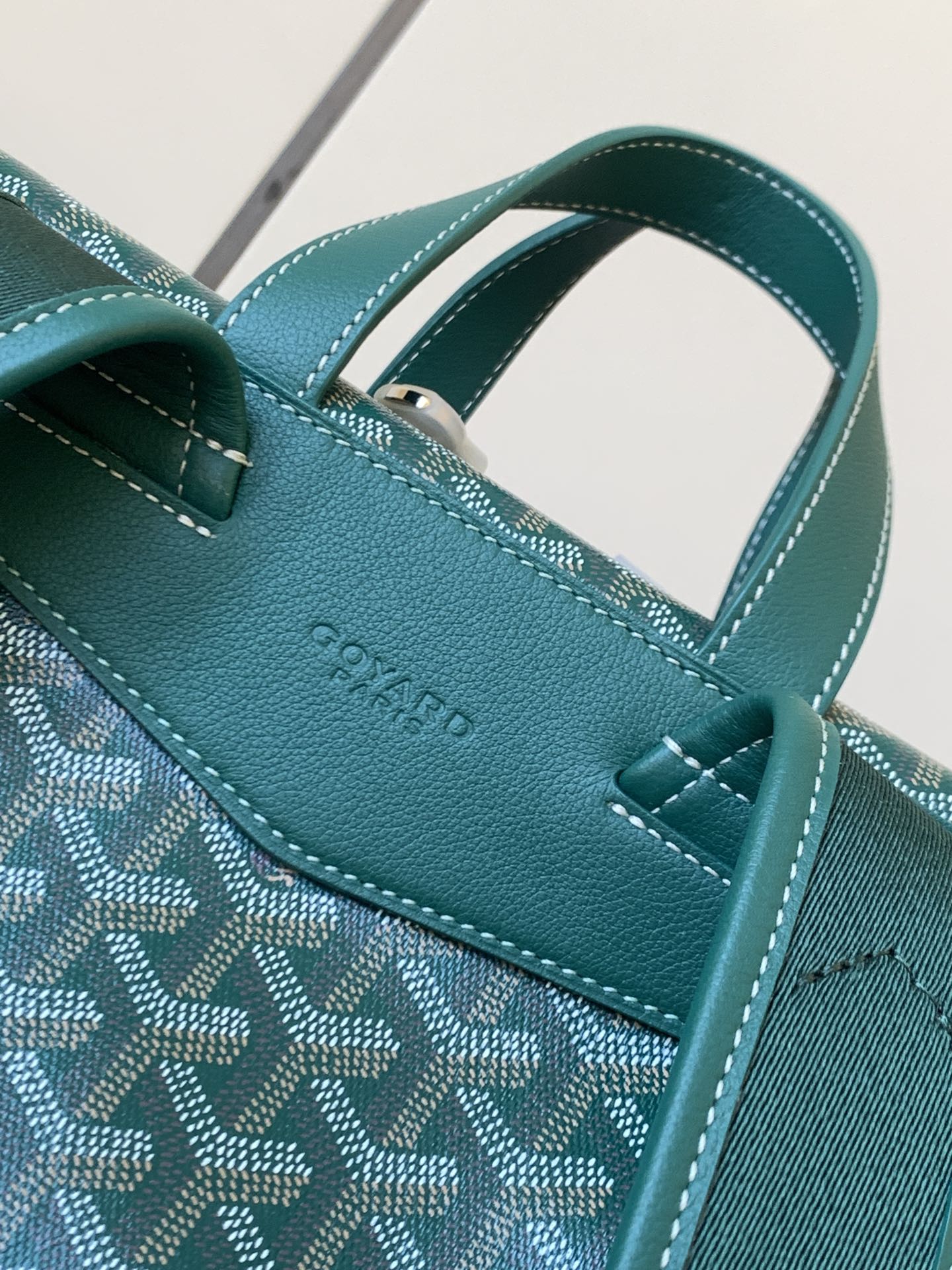 Goyard Cisalpin Backpack Coated Canvas Green 2974391