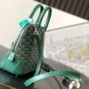 Goyard Women Vendôme Mini Bag-Green VENDO2MINTY