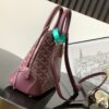 GOYARD Vendome PM Canvas Crossbody Bag Burgundy