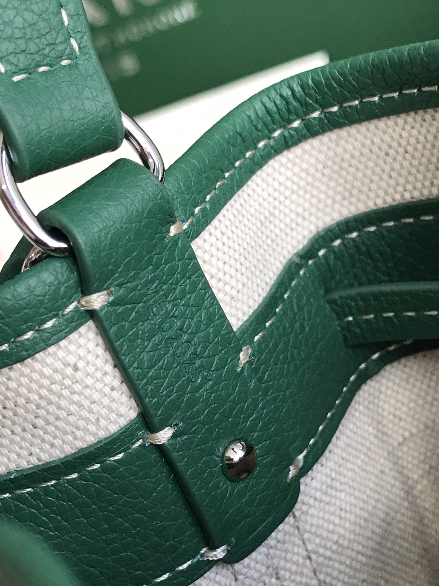 Goyard Petit Flot Mini bucket Bag Green