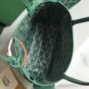 Goyard Goyardine Anjou Green Mini Bag Palladium ...
