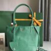 Goyard Goyardine Anjou Green Mini Bag Palladium ...