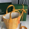 bag Goyard Women Belharra PM Bag-yellow