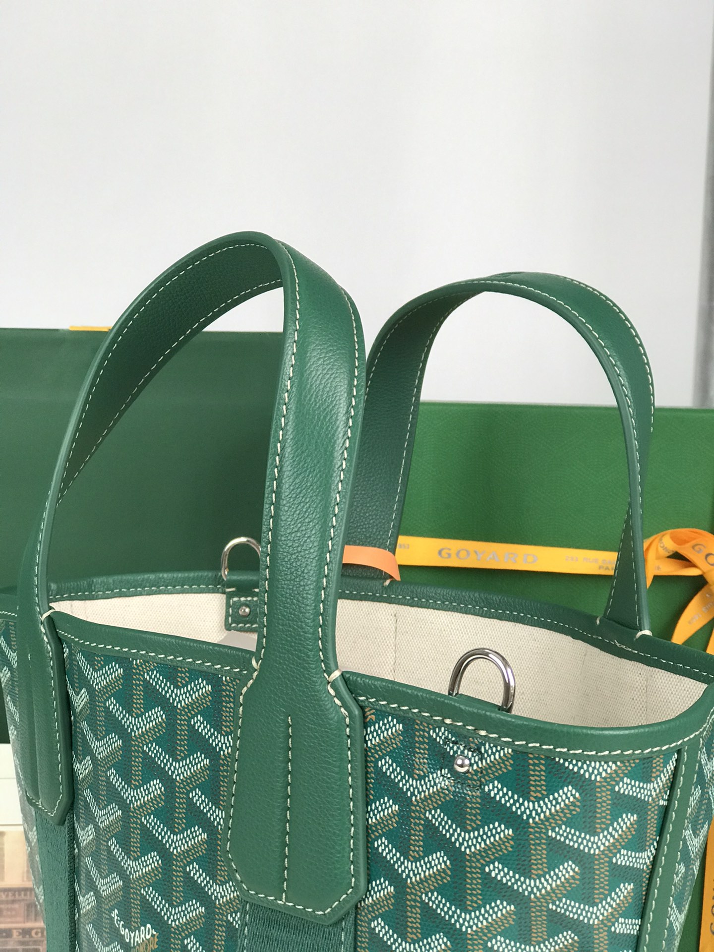 Goyard Goyardine Belharra PM Coral Tote Palladium bag green
