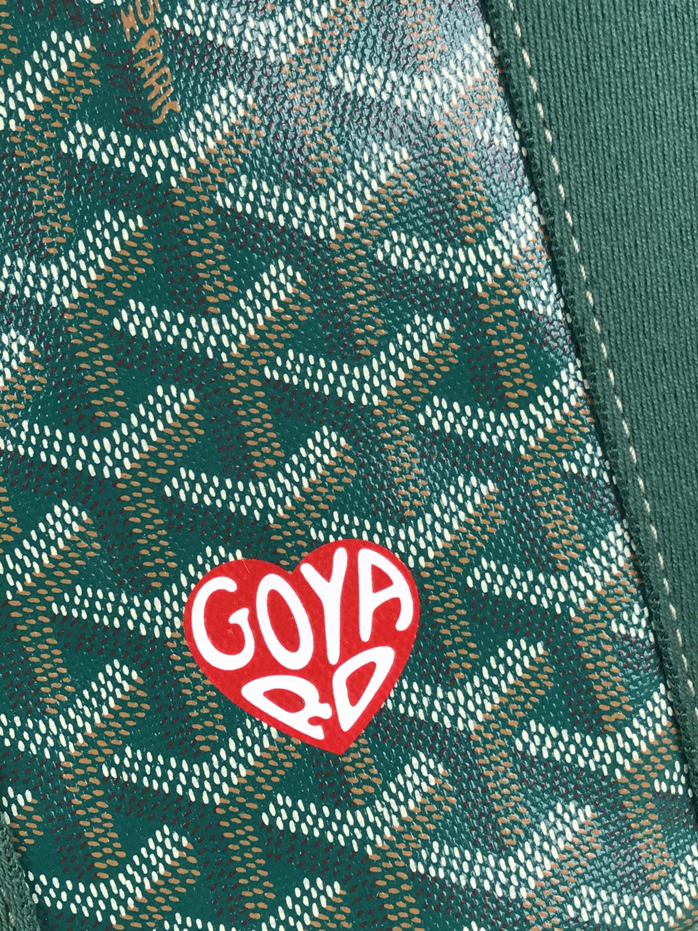 Goyard Goyardine Belharra PM Coral Tote Palladium bag green