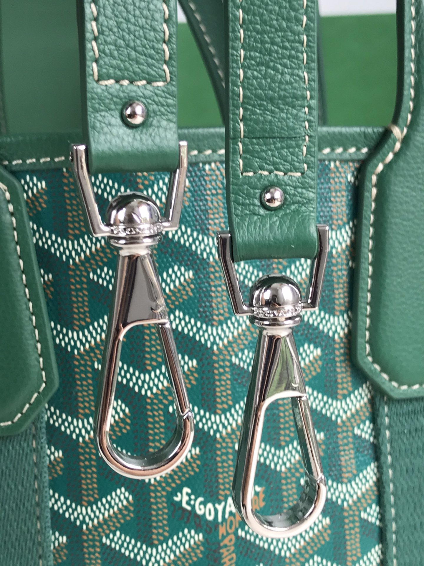 Goyard Goyardine Belharra PM Coral Tote Palladium bag green