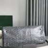 Goyard Gray Goyardine Croisiere 50 Brown Dark grey