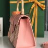 Goyard Saigon Structure Nano Bag Pink Goyardine Silver ...