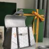 Silver Goyard Sac Saigon Mini Structure