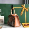 Goyard Saigon Structure Mini Bag Black and Brown Goyardine Canvas Pall