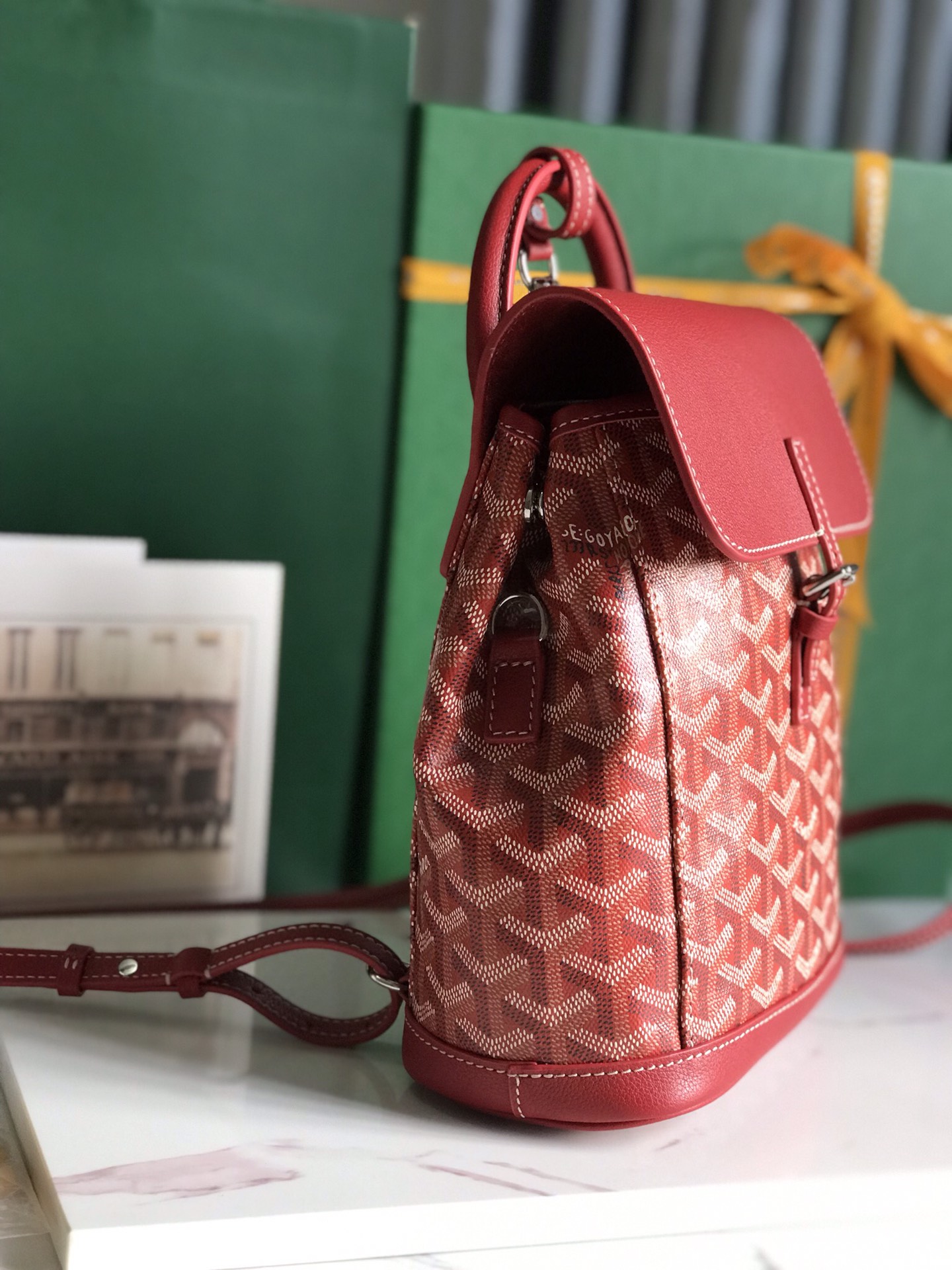 GoyardredGoyardine Sac Alpin Mini Backpack Bag