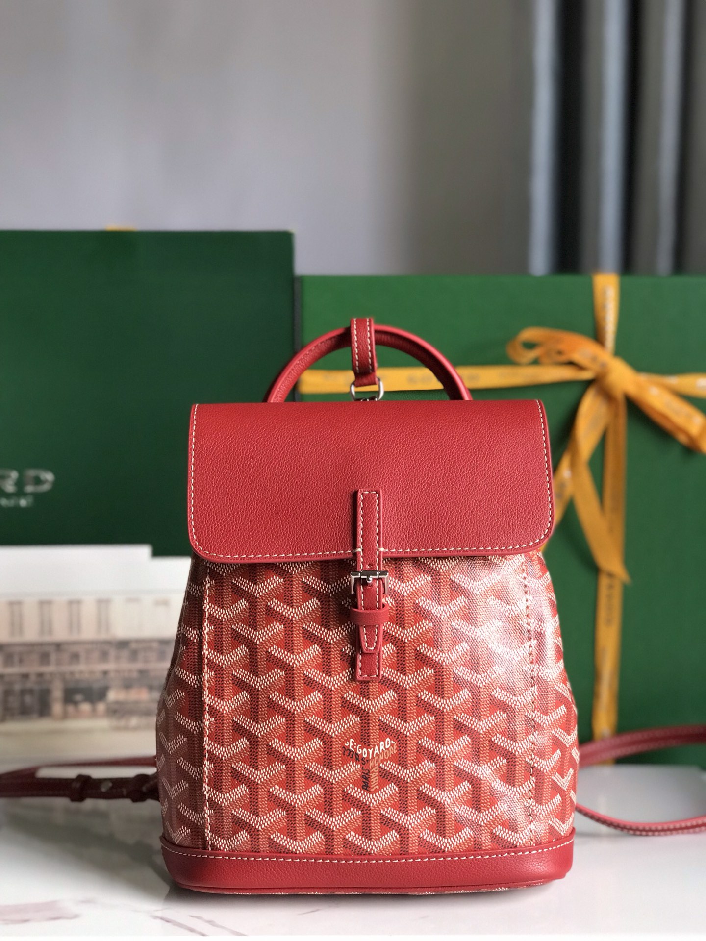 GoyardredGoyardine Sac Alpin Mini Backpack Bag
