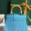 Saigon Top Handle Bag Coated Canvas with Leather PM sky blue