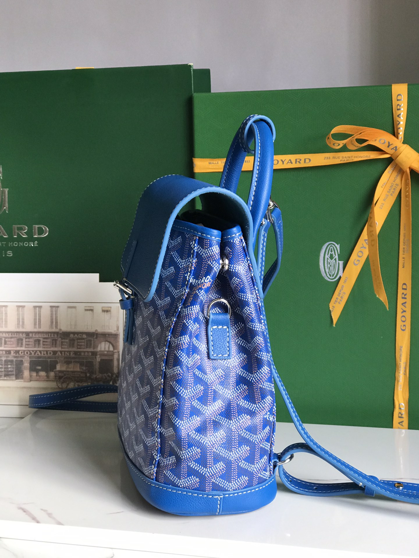 Goyard 2019 Goyardine Le Sac Mini Alpin Backpack - blue
