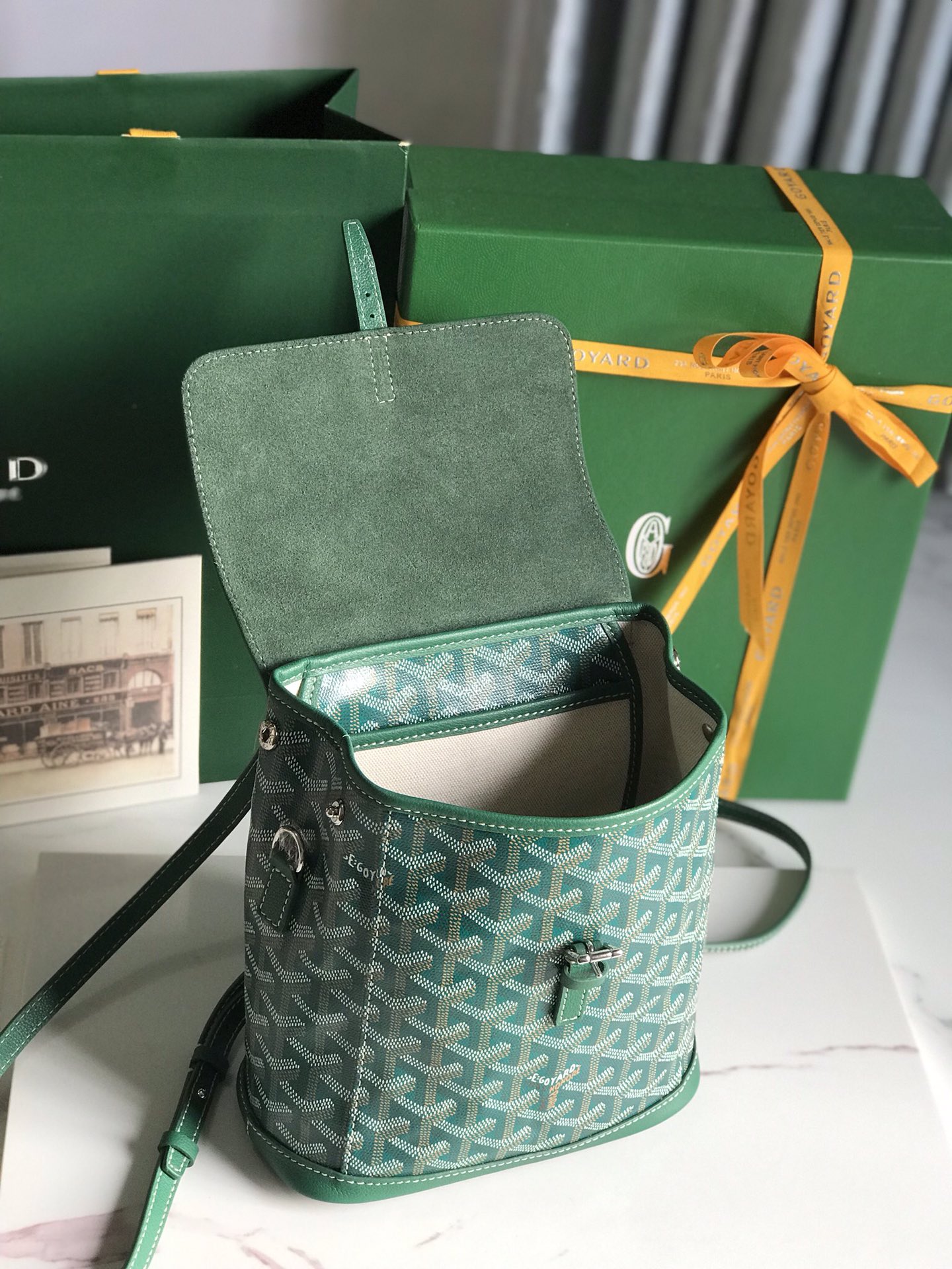 Goyard 2019 Goyardine Le Sac Mini Alpin Backpack - Green