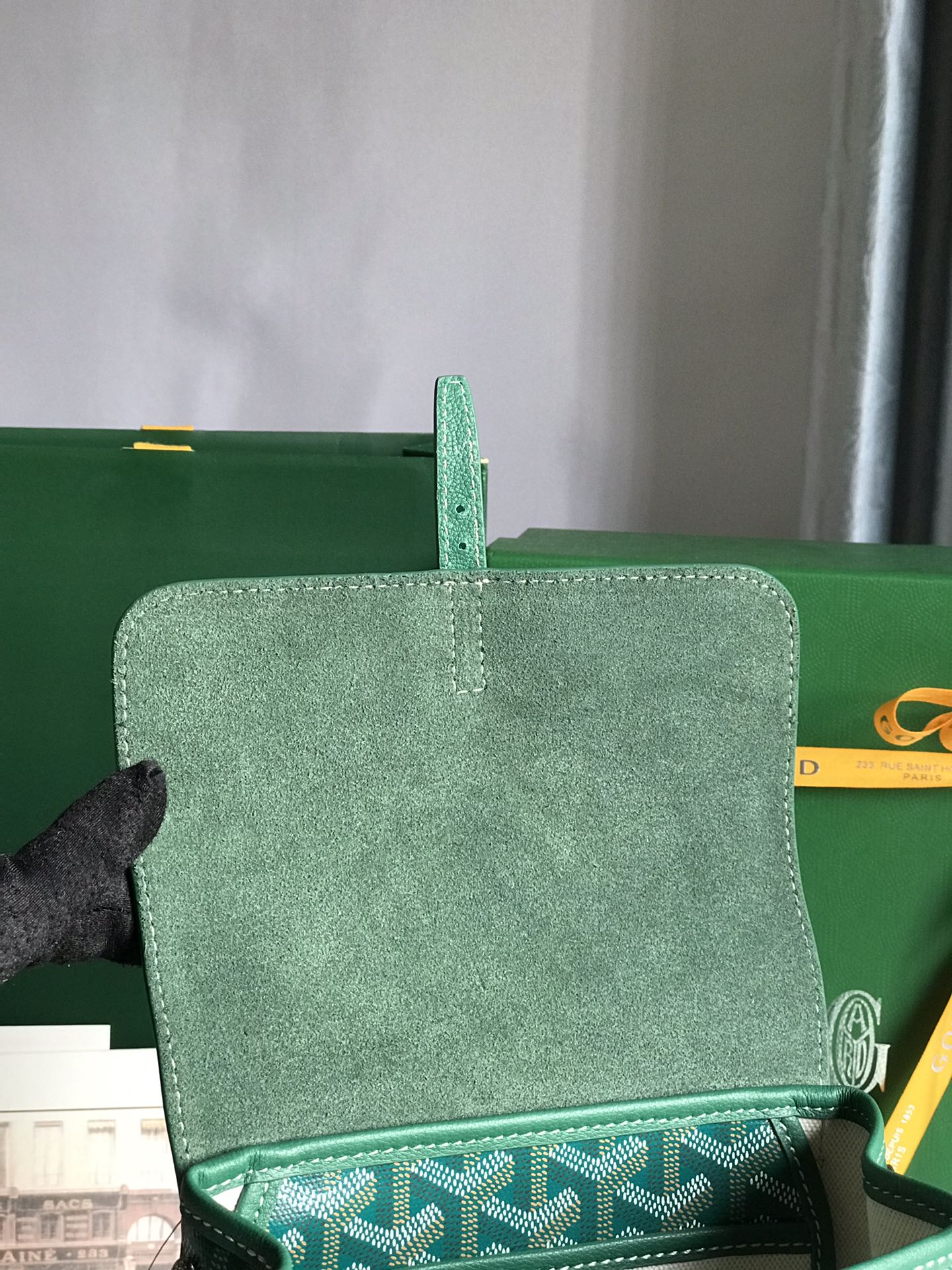 Goyard 2019 Goyardine Le Sac Mini Alpin Backpack - Green