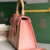 Goyard Saigon Structure Nano Bag Pink Goyardine Silver ...