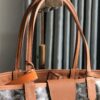 Goyard Pre-Owned 2018 St.Louis PM Tote Bag | black brown