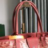 Goyard Pre-Owned 2018 St.Louis PM Tote Bag | Red