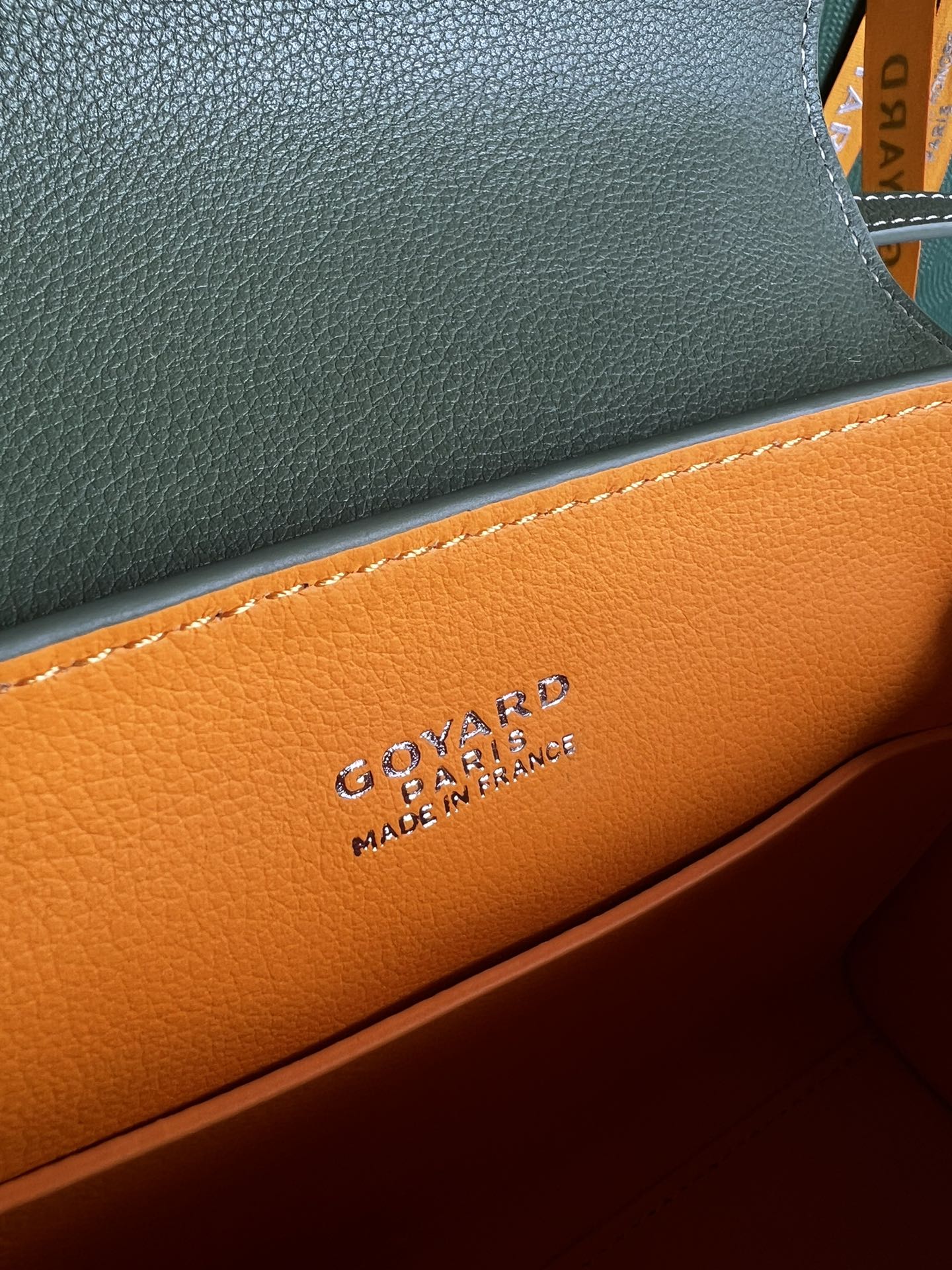 Goyard Women's Sac Saïgon Souple Mini BAG in Toile Goyardine & green