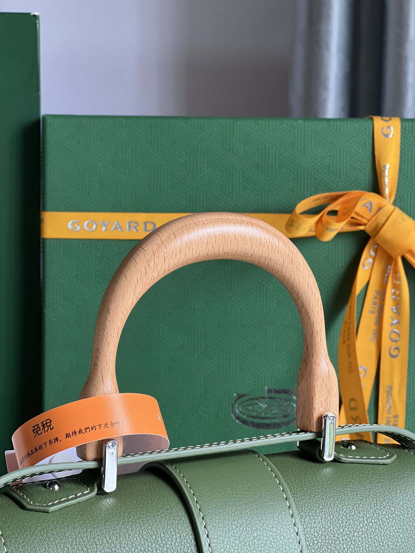 Goyard Women's Sac Saïgon Souple Mini BAG in Toile Goyardine & green