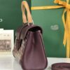 Goyard Burgundy Goyardine Saigon Mini Bag