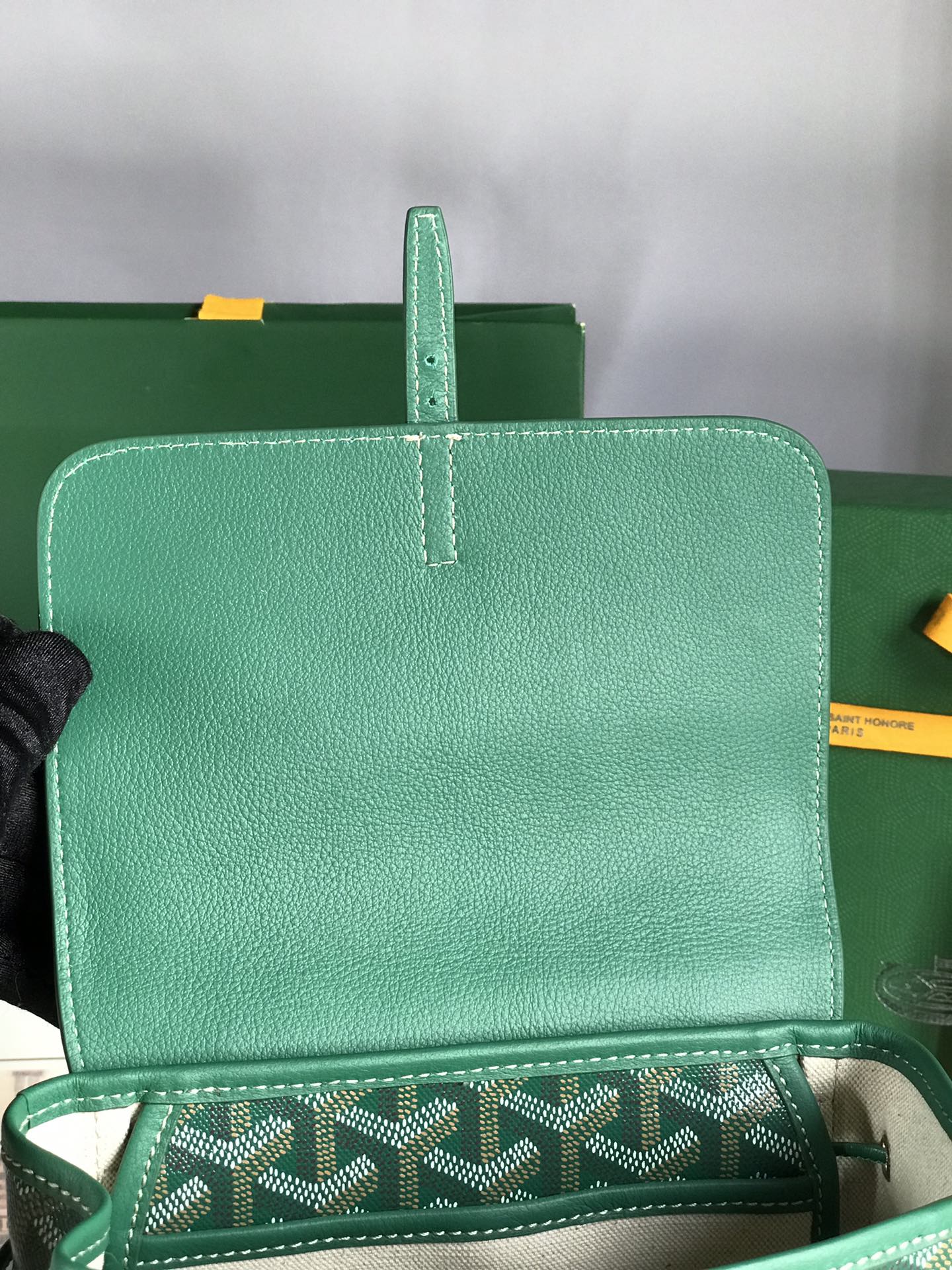 Goyard Alpin Backpack Goyardine Green -