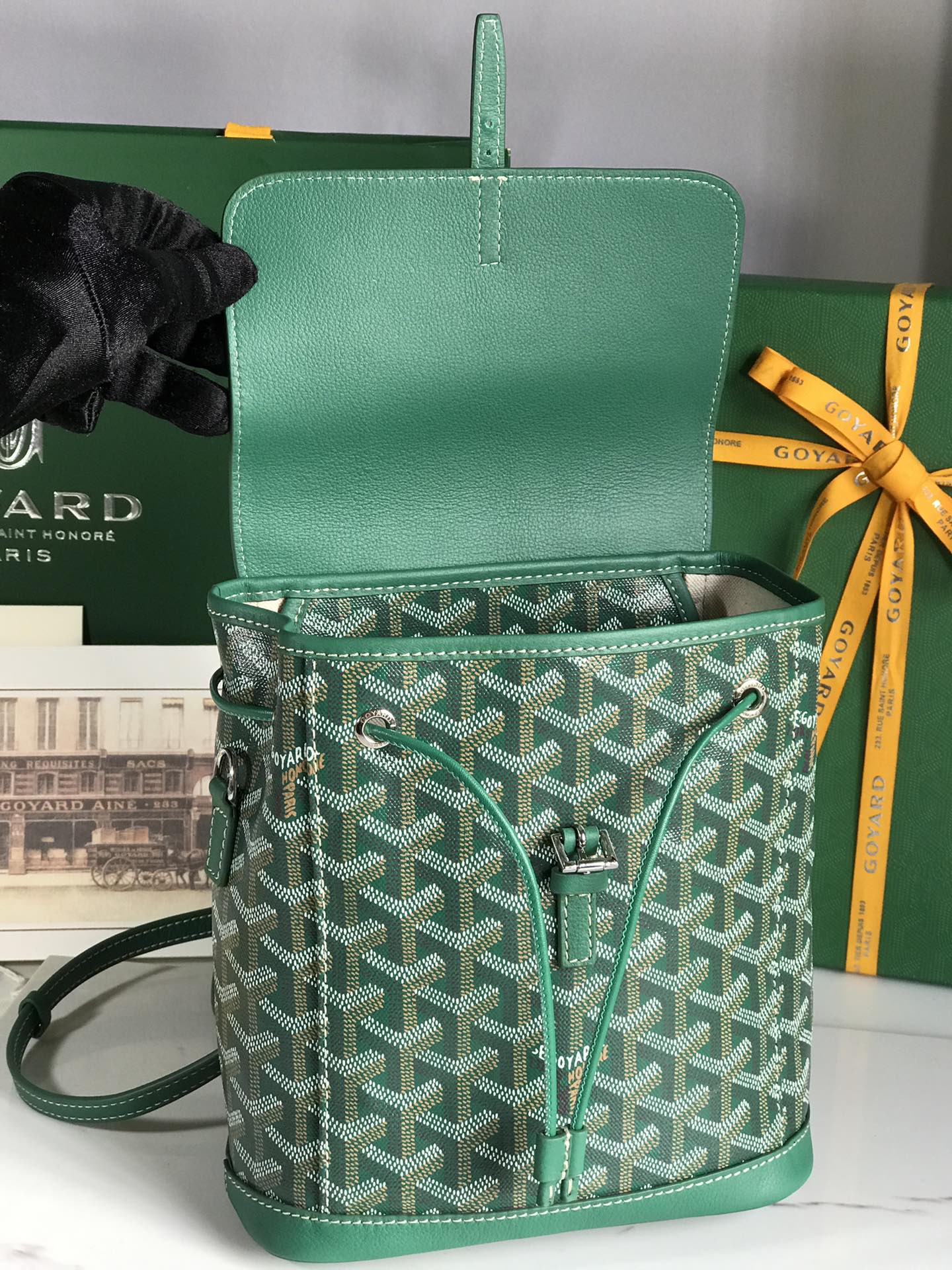 Goyard Alpin Backpack Goyardine Green -