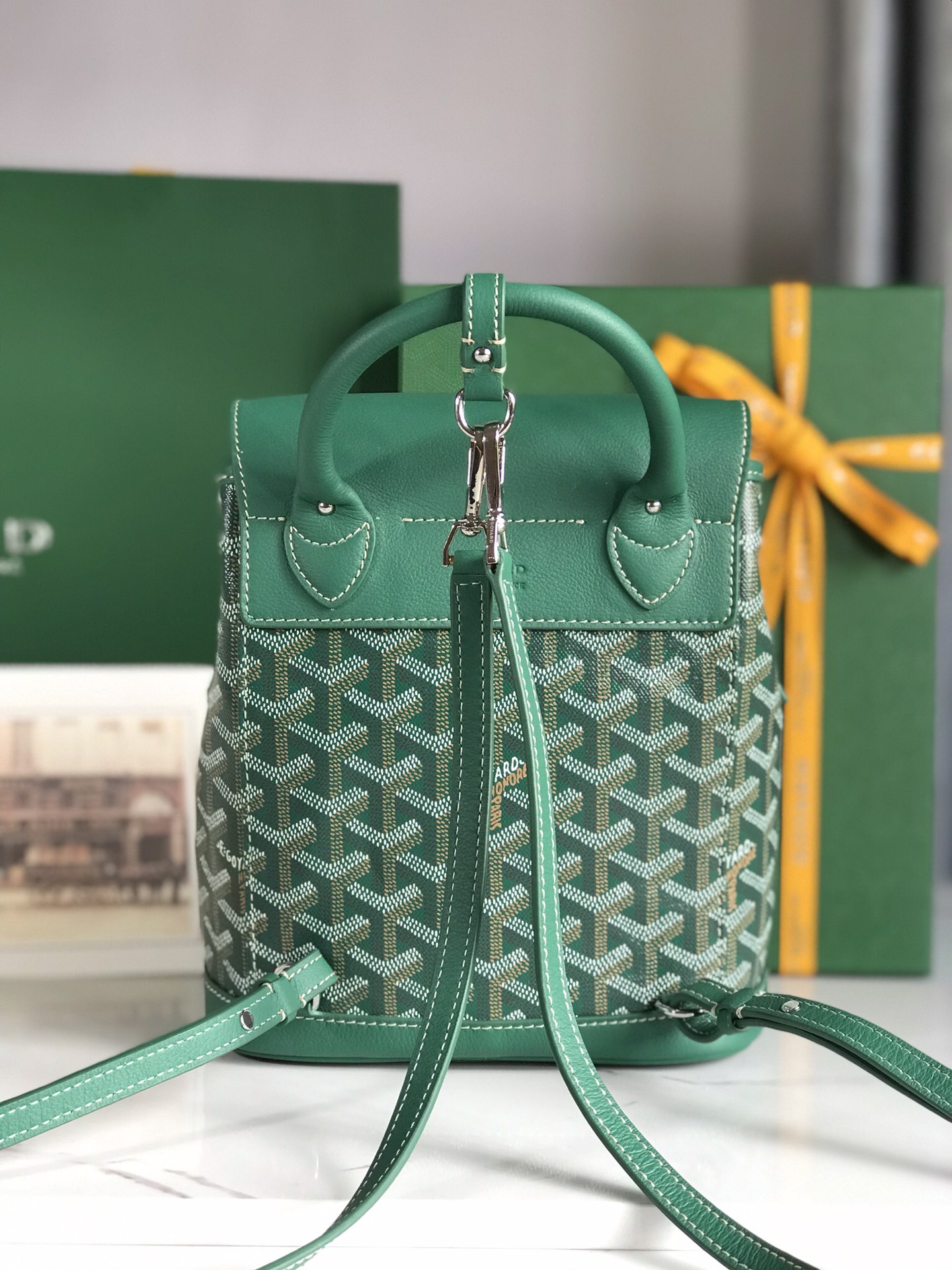 Goyard Alpin Backpack Goyardine Green -