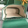 Goyard Alpin Backpack Goyardine Green -