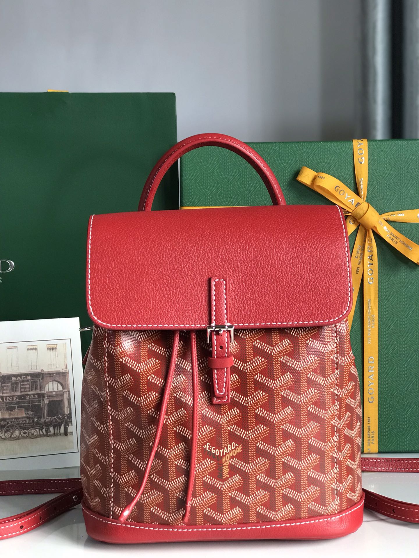 GOYARD Goyardine Calfskin Mini Alpin Backpack Red 82708