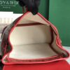 GOYARD Goyardine Calfskin Mini Alpin Backpack Red 82708