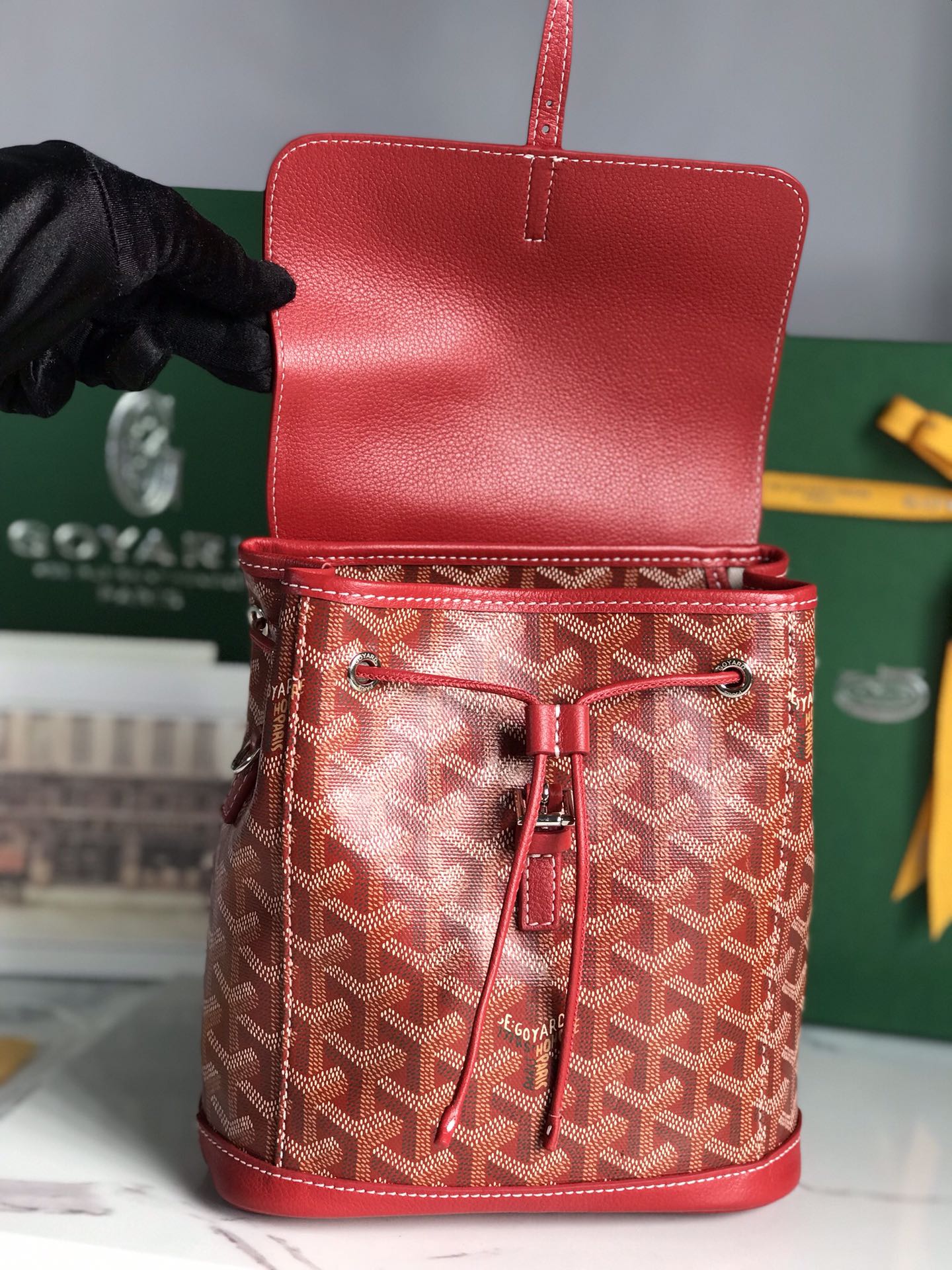 GOYARD Goyardine Calfskin Mini Alpin Backpack Red 82708