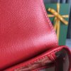 GOYARD Goyardine Calfskin Mini Alpin Backpack Red 82708