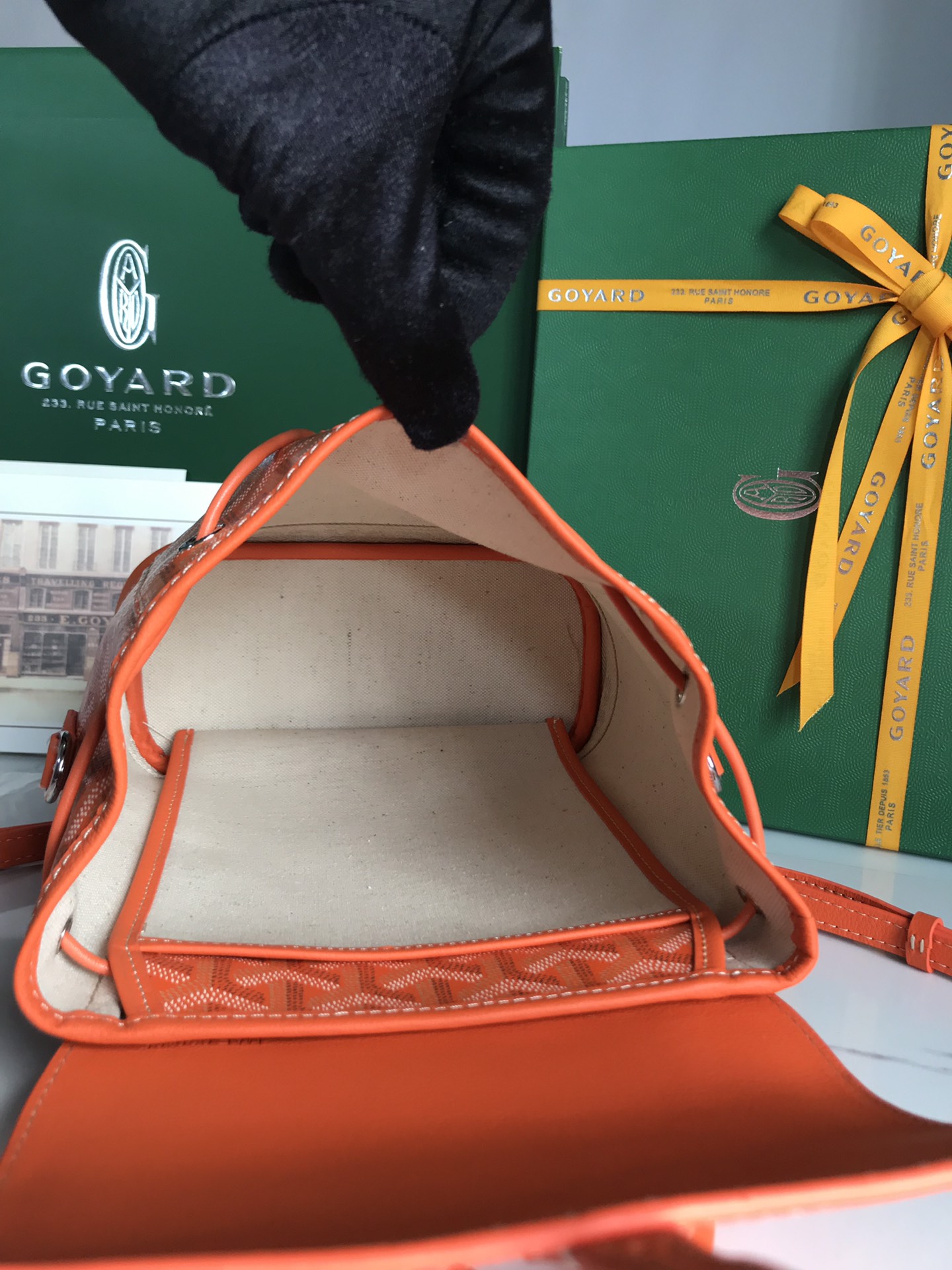 Goyard Alpin Backpack Coated Canvas Mini Orange 2669281