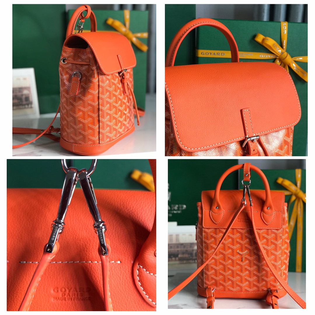 Goyard Alpin Backpack Coated Canvas Mini Orange 2669281